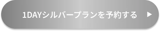1DAYシルバープランを予約する